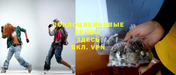 метадон Елизово