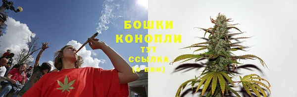 метадон Елизово