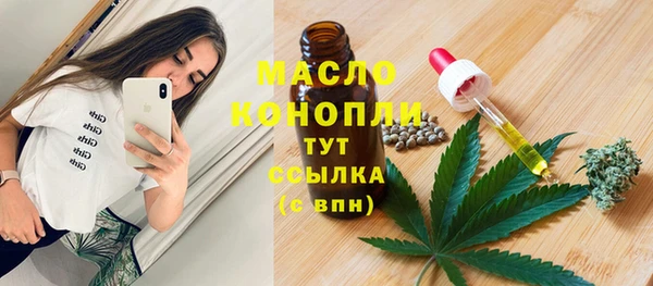 метадон Елизово