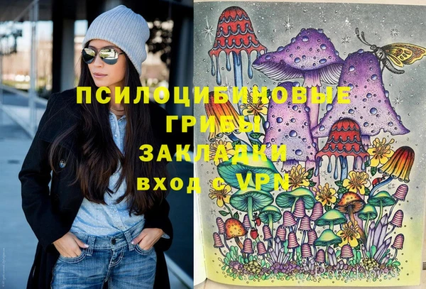 метадон Елизово