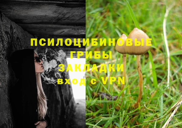 метадон Елизово