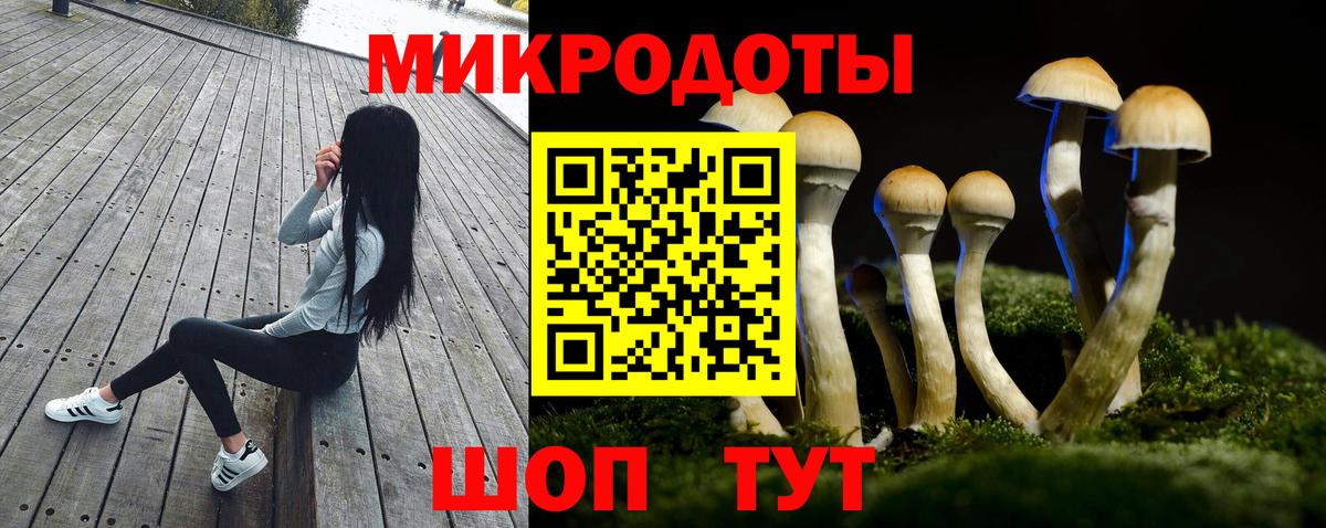 Псилоцибиновые грибы Cubensis Пыть-Ях